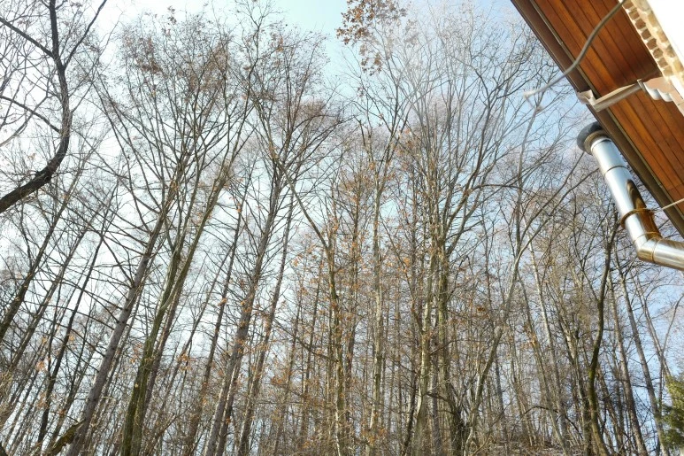 L1240791.JPG?type=w773