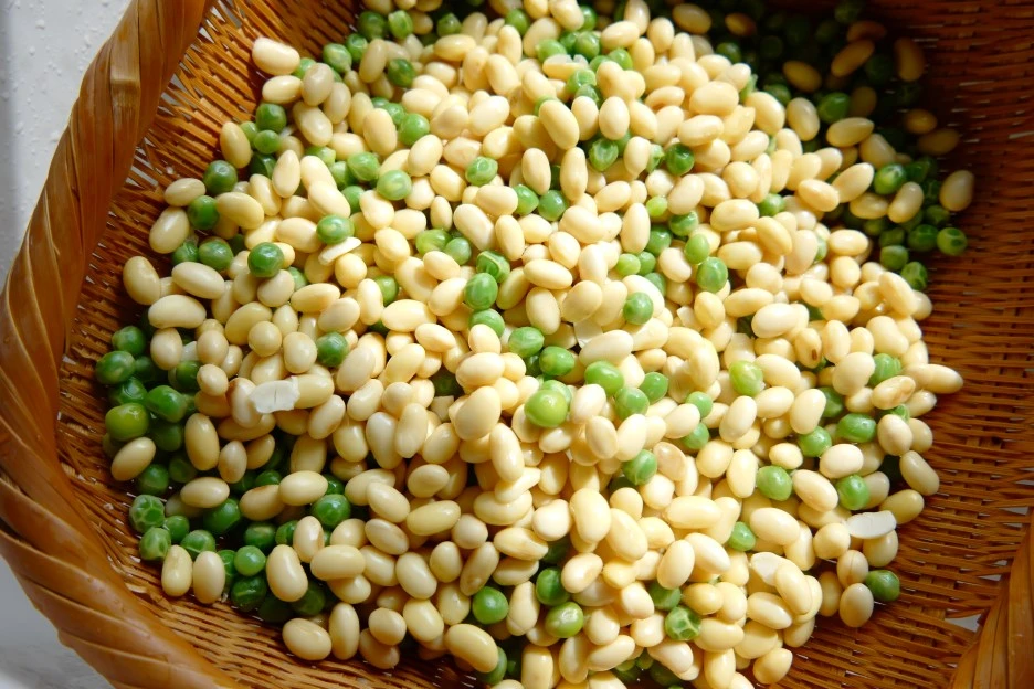 L1030450.JPG?type=w1