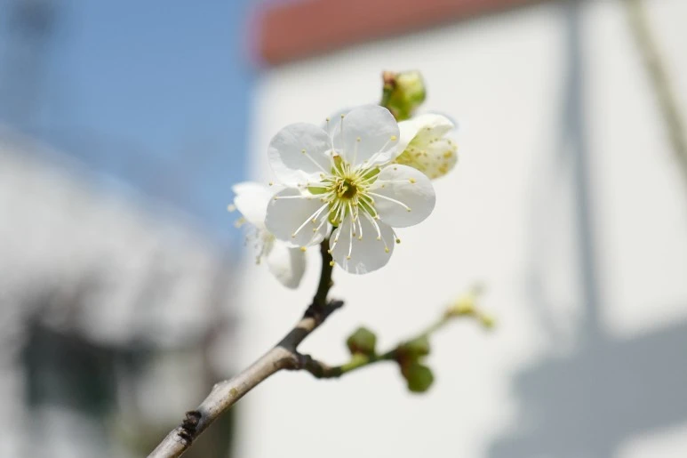 L1280250.JPG?type=w773