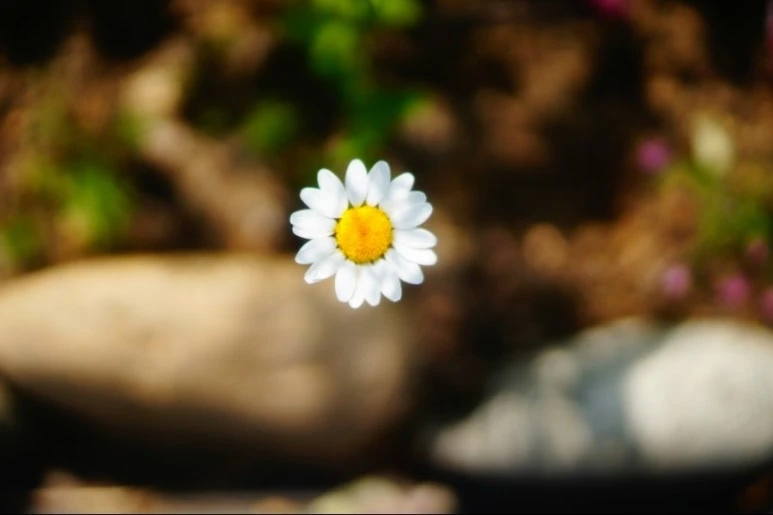 DSC03357.JPG?type=w773