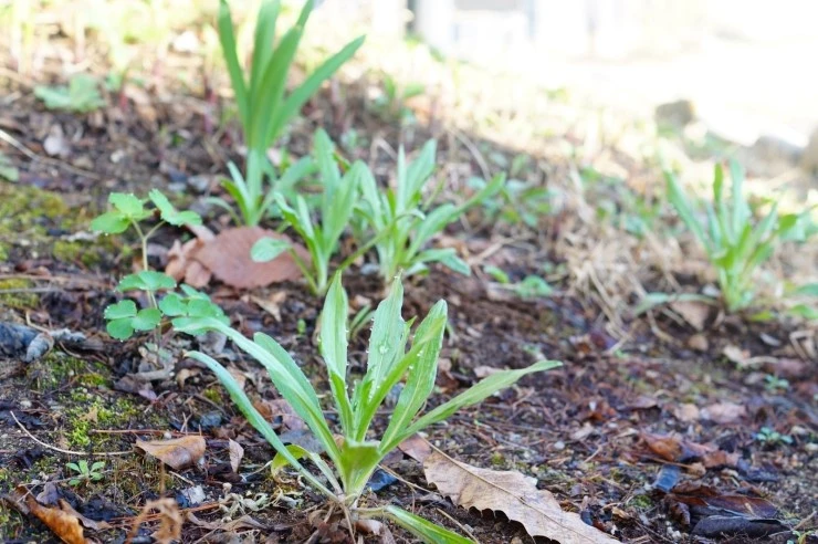 DSC05622.JPG?type=w2