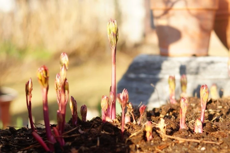 DSC05594.JPG?type=w2