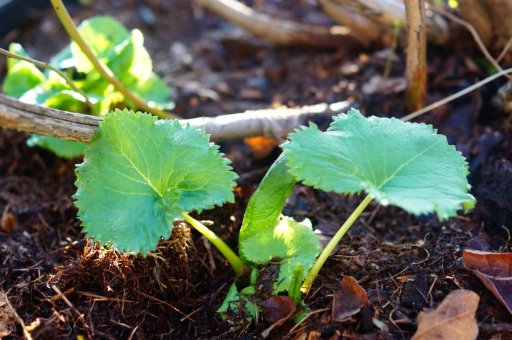 DSC05608.JPG?type=w2