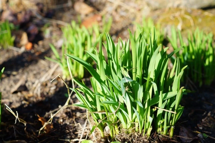 DSC05628.JPG?type=w2