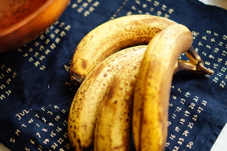 DSC02885.JPG?type=w2