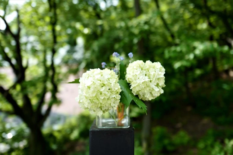 L1550207.JPG?type=w773