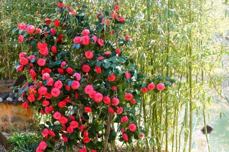 DSC05754.JPG?type=w2