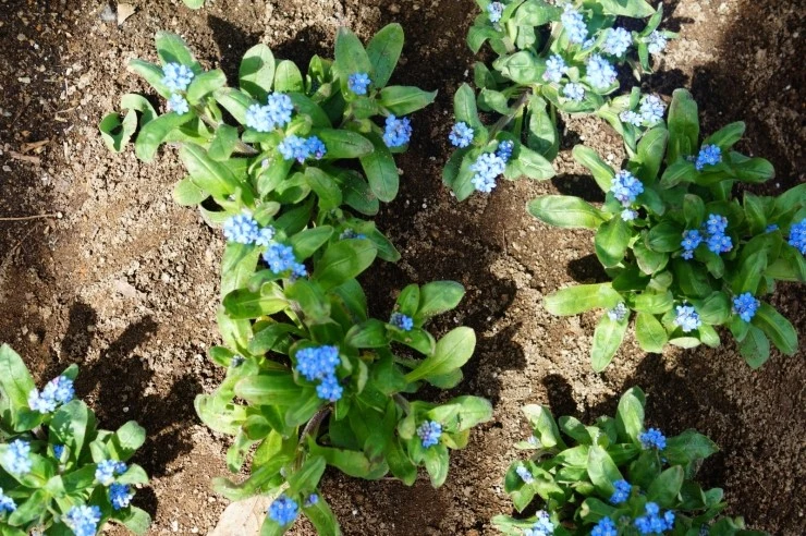 DSC05731.JPG?type=w2