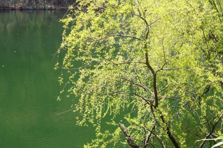 DSC05744.JPG?type=w2