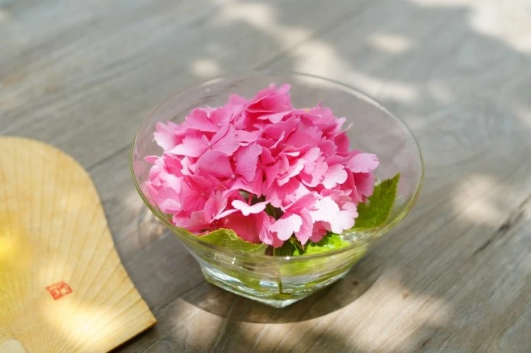 DSC02934.JPG?type=w773