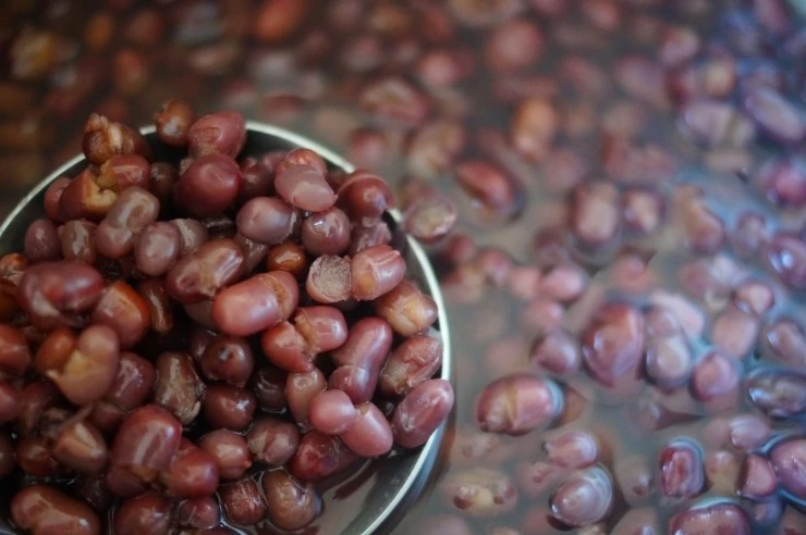 DSC07174.JPG?type=w2