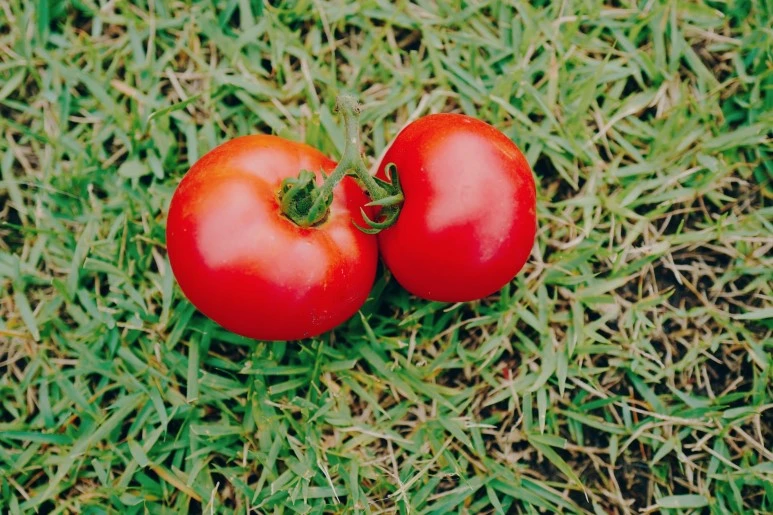 image_7764677461468070051522.jpg?type=w773