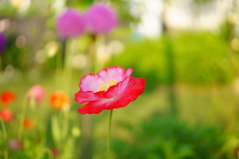 DSC01289.JPG?type=w773