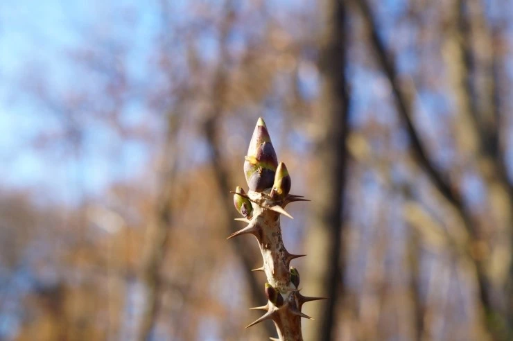 DSC05634.JPG?type=w2