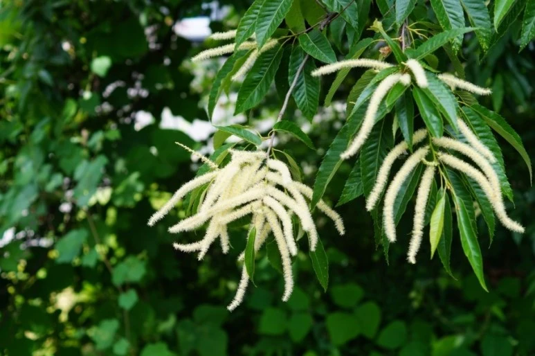 DSC02912.JPG?type=w773