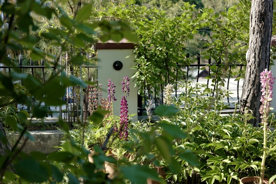 L1000016_(2).JPG?type=w1