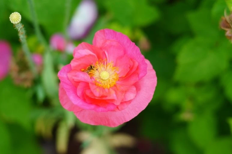 DSC02810.JPG?type=w773