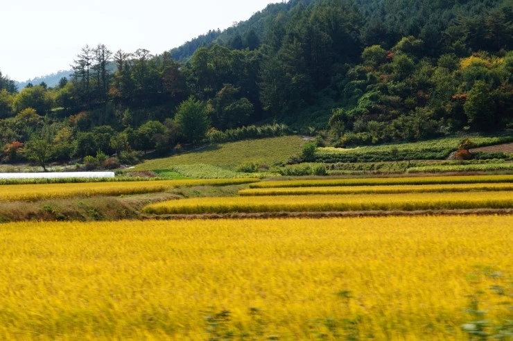 DSC02561.JPG?type=w2