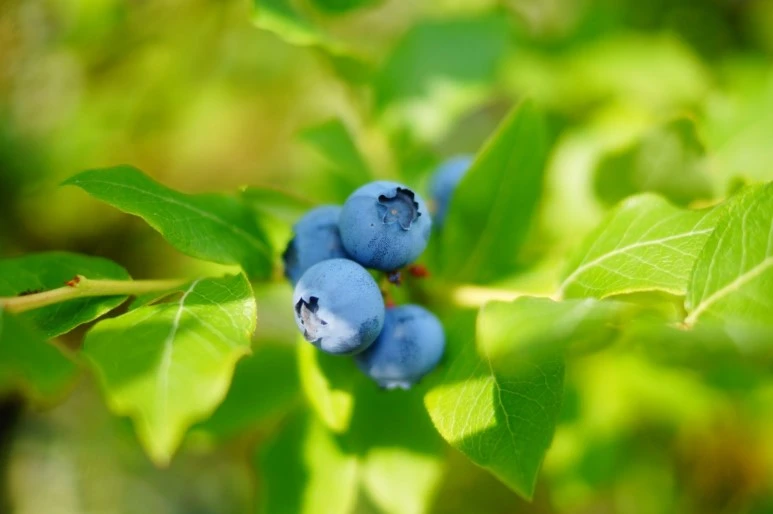 DSC03358.JPG?type=w773