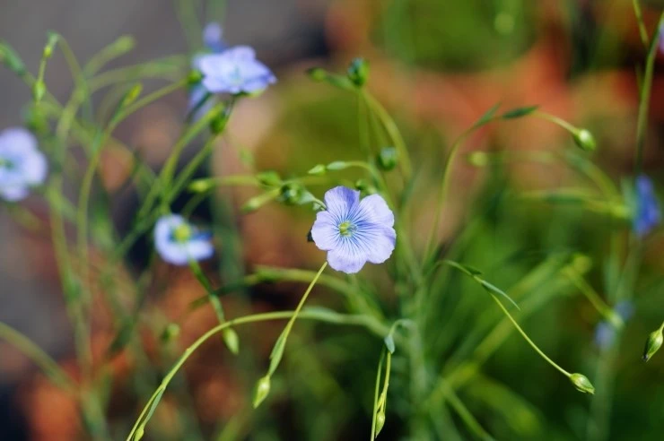 DSC01725.JPG?type=w773