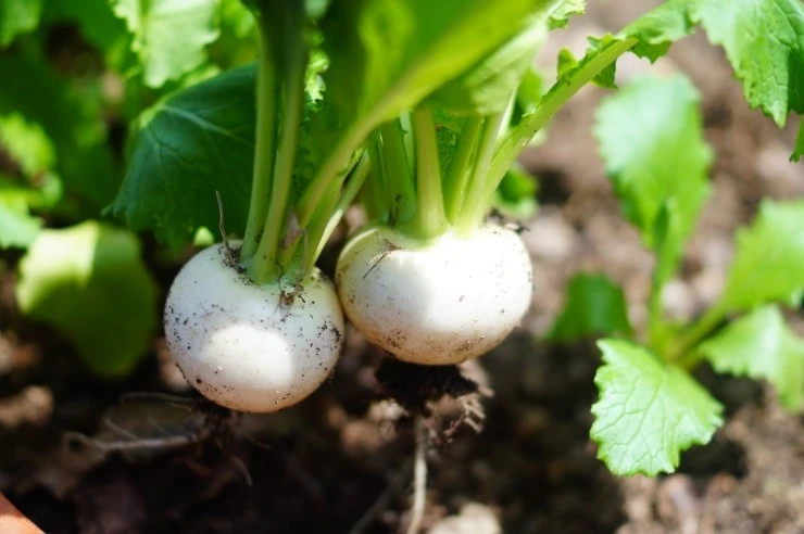 DSC09885.JPG?type=w773