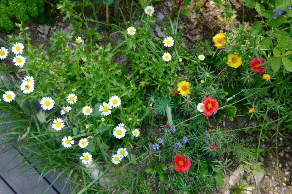 L1030492.JPG?type=w1