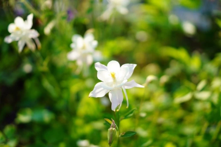 DSC01520.JPG?type=w773