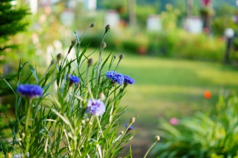 DSC01311.JPG?type=w773