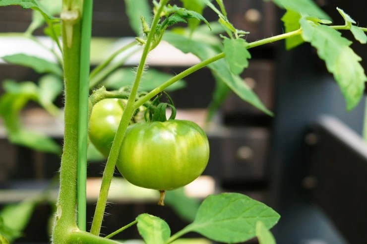 DSC02122.JPG?type=w773