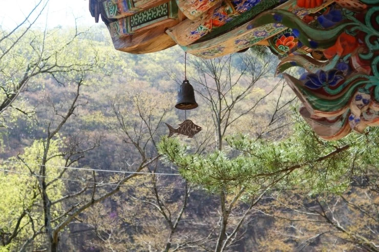 DSC05760.JPG?type=w2