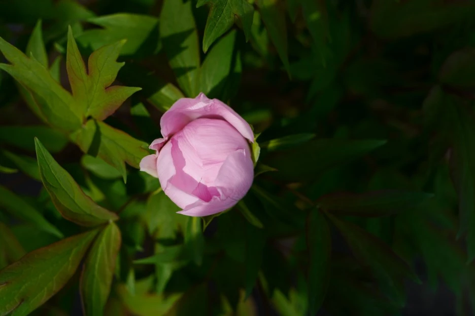 L1730612_-_%EB%B3%B5%EC%82%AC%EB%B3%B8.JPG?type=w1