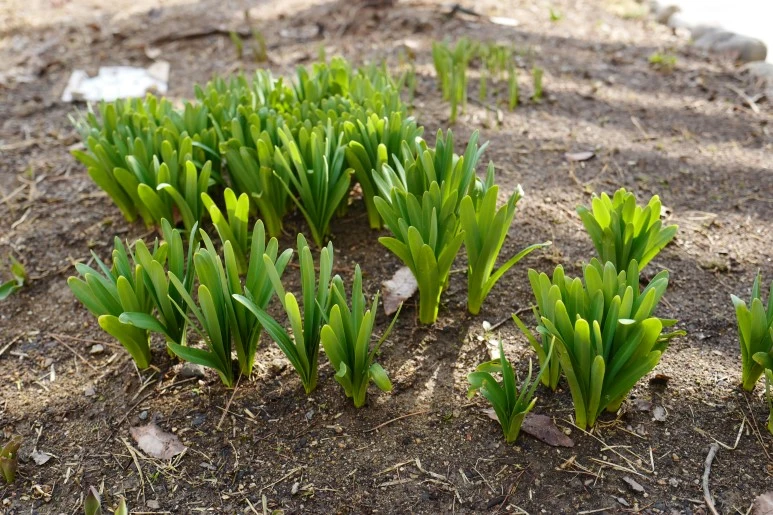 L1270774.JPG?type=w773