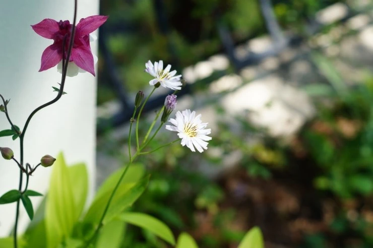 DSC09860.JPG?type=w773