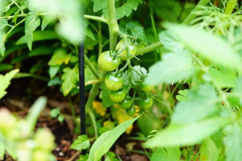 DSC02125.JPG?type=w773