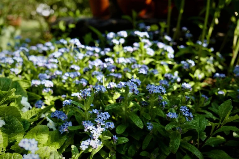 L1320631_%282%29.JPG?type=w773