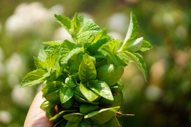 DSC01332.JPG?type=w773