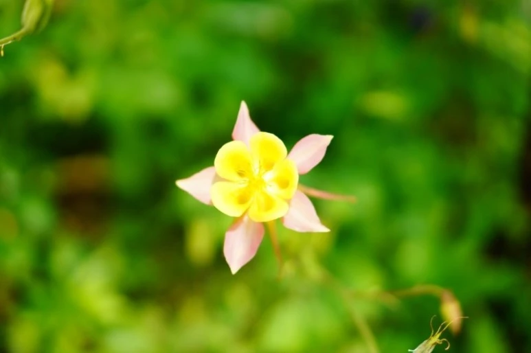 DSC02563.JPG?type=w773