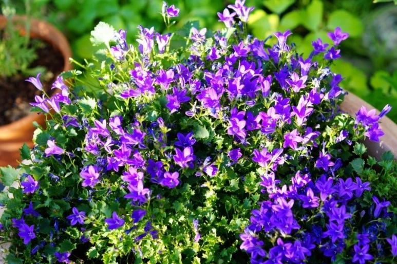 DSC01137.JPG?type=w773