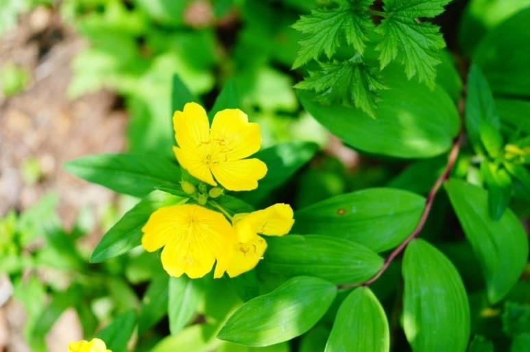 DSC02443.JPG?type=w773