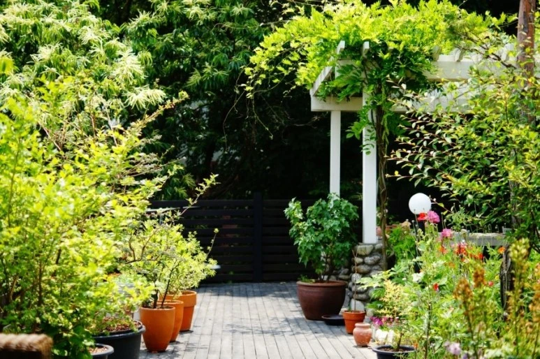 DSC02477.JPG?type=w773