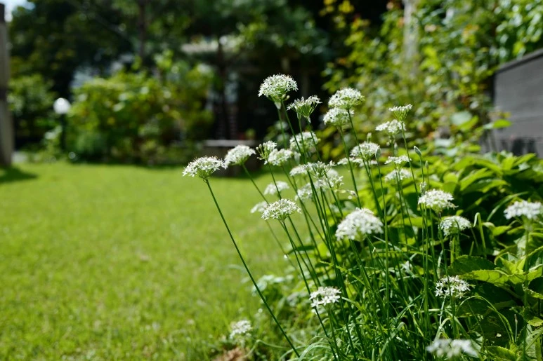 L1610867.JPG?type=w773