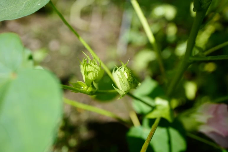 L1610837.JPG?type=w773