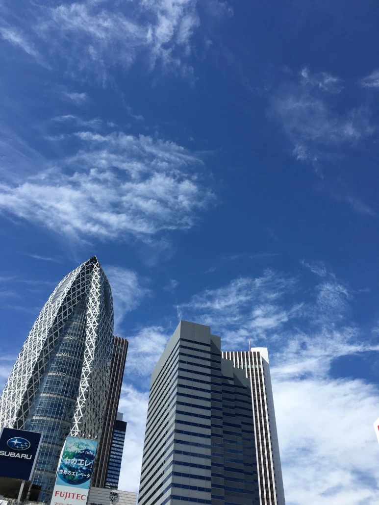 photo_1_%282%29.jpg?type=w773