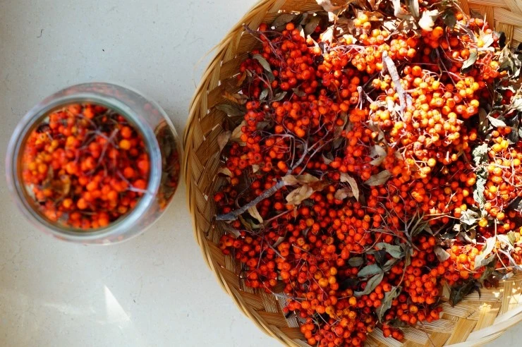 DSC03273.JPG?type=w2