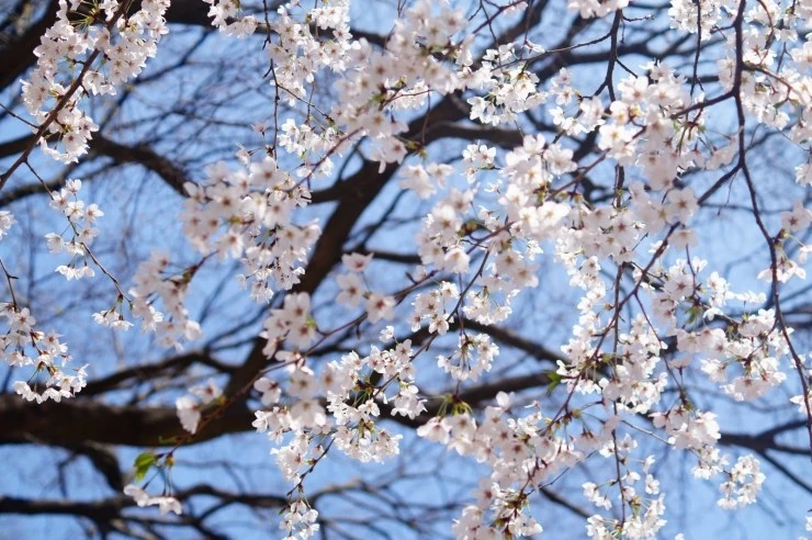 DSC05784.JPG?type=w2