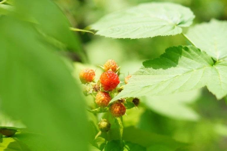 DSC02889.JPG?type=w773