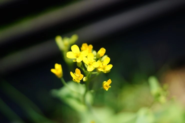 DSC09882.JPG?type=w773