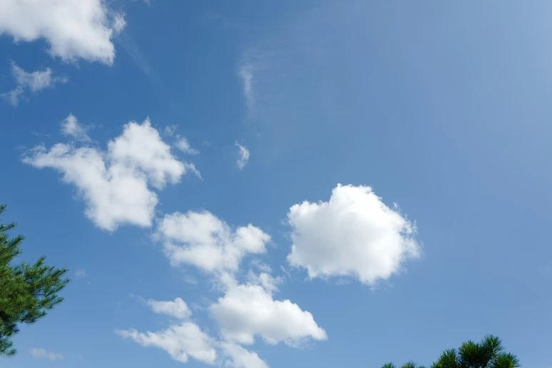 L1100829.JPG?type=w773