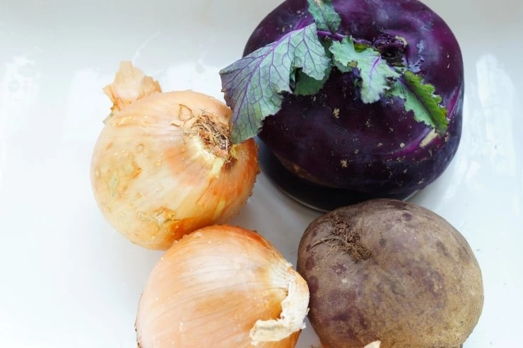 DSC02833.JPG?type=w2