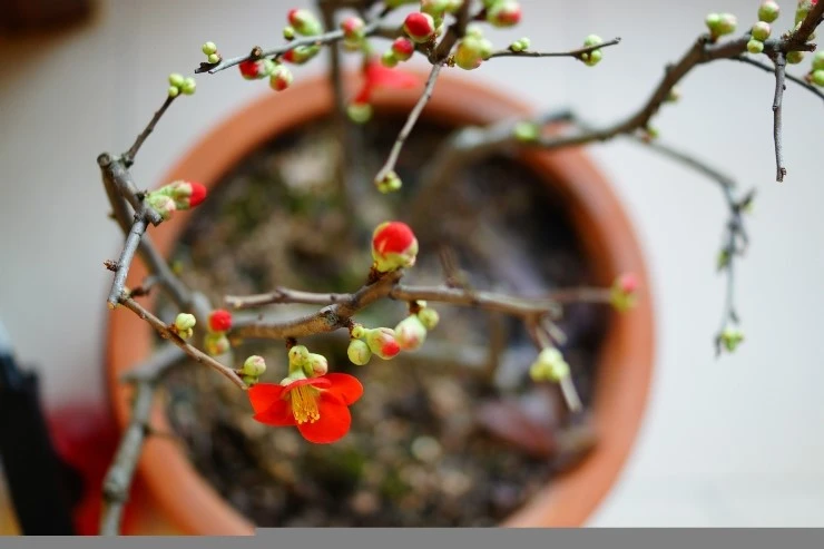 DSC06476.JPG?type=w2